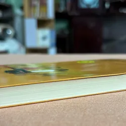 Đi qua hoa cúc 🌊 693470