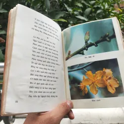 Kỹ Thuật Trồng Và Ghép Mai - Huỳnh Văn Thới 928913