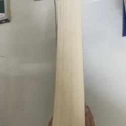 The Dark FOREst  994745