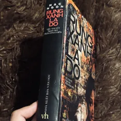 Rừng xanh lá đỏ 1001641