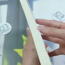 Bến Xe - Thương Thái Vi 744709