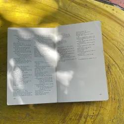 CONSUMERISM the eternal triangle Business, Government and Consumers 973724