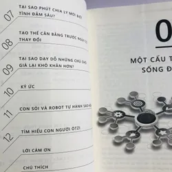📖 GIẢI MÃ TÂM TRÍ – KIỂM SOÁT CẢM XÚC 601852