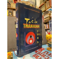 THÁI ẤT THẦN KINH - TRẠNG TRÌNH NGUYỄN BỈNH KHIÊM 154241