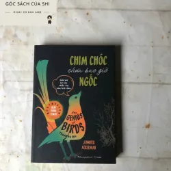 Chim Chóc Chưa Bao Giờ Ngốc | Jennifer Ackerman