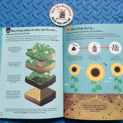 series Usborne “100 Things to Know About…” 785045