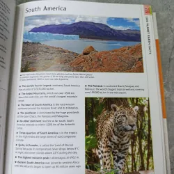 6000 AMAZING FACTS 557327