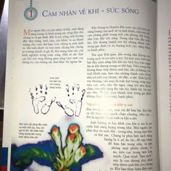 Sắp xếp nhà cửa theo phong thuỷ 701605