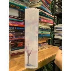 Gửi anh người luôn đến muộn -Lam Bạch Sắc