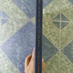 The boy, the mole, the fox Horse - Charlie mackesy 708899