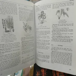 TỪ ĐIỂN CÂY THUỐC VIỆT NAM - VÕ VĂN CHI 455989