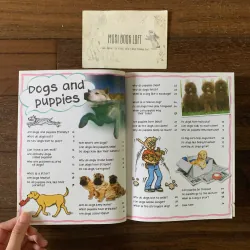 Sách ngoại văn My First Animal Questions and Answers, Used, Siêu Dày 578055