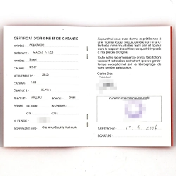 Roger Dubuis Aquamarine GA35 21 9 1.53 SS tự động - Hàng hiệu Chính hãng 874406