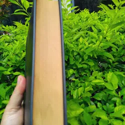 Sự phát triển của tư tưởng Việt Nam từ thế kỷ XIX đến cách mạng tháng Tám  960455