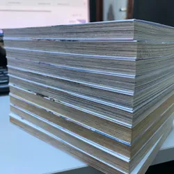 Thế giới hoàn mỹ 576763