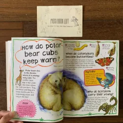 Sách ngoại văn My First Animal Questions and Answers, Used, Siêu Dày 578055