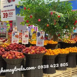 Giỏ mây nhựa trưng trái cây hoa quả 716577