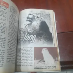 KIẾN THỨC NGÀY NAY số 309 ngày 10.03.1899 733973