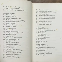 The Power Of Leadership Metaphors - Peter Shaw 731543