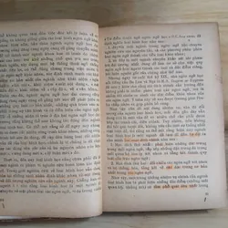 Loại Hình Các Ngôn Ngữ & Nghiên Cứu Về Chữ Nôm 736945