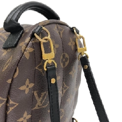 Balo Louis Vuitton Monogram Palm Springs MINI M41562 - Hàng hiệu Chính hãng 776451