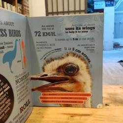 5000 Amazing Facts (hardcover) 462178