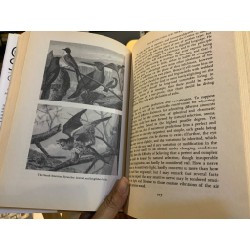 THE ORIGIN OF SPECIES : COMPLETE AND FULLY ILLUSTRATED - Charles Darwin 149029