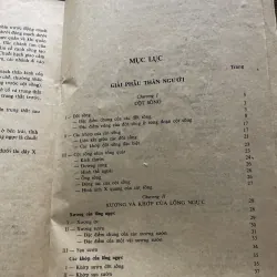 Giải phẫu ngực bác sĩ Đỗ Xuân hợp   799782