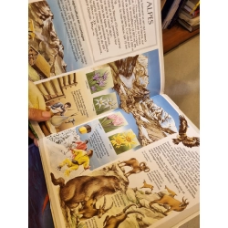 La Grande Imagerie : Pour Les Faire Connaitre Aux Enfants (11 cuốn) 450433