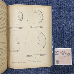 Di chỉ khảo cổ học Phùng Nguyên  715028