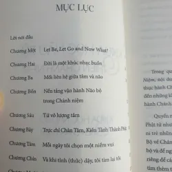 Khoa Học Não Bộ Và Thiền Chánh Niệm - Quán Như Phạm Văn Minh 737344