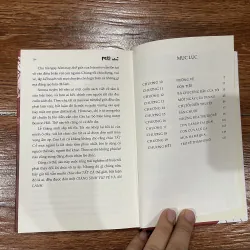 Mèo mặt nhọ 2 (12) 1024242