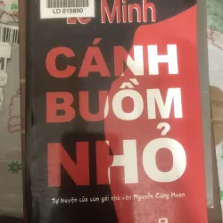 cánh buồm nhỏ lê minh