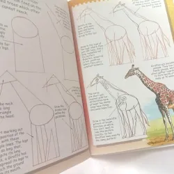 I Can Draw Wild Animals 1002086