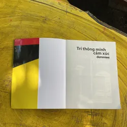 TRÍ THÔNG MINH CẢM XÚC- STEVEN J. STEIN 702053