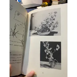 Japanese Flower Arrangement: A Complete Primer 694279