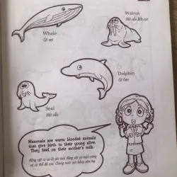 Cùng khám phá tiếng anh - Môi trường Sống - 3A 1004065