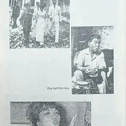 Việt Nam nhân chứng (Trần Văn Đôn) 574218