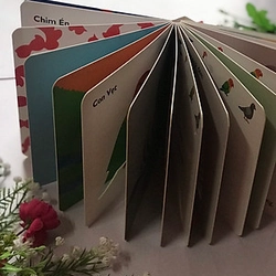 Combo Sách Cùng chơi trốn tìm cho bé mới 100% 503779