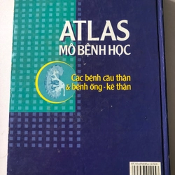 ATLAS MÔ BỆNH HỌC CÁC BỆNH CẦU THẬN & BỆNH ỐNG - KẼ THẬN 305949