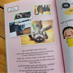 Nhà có một đàn mèo (bộ 2 tập) - Chae Yuri 563583