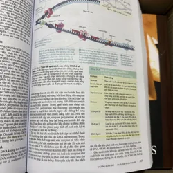 [Miễn ship] Sách Sinh Học Campbell Reece 707824