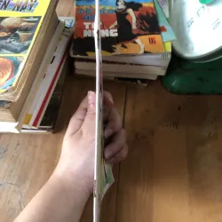 Dũng sĩ Đam Dông-truyện tranh 973853