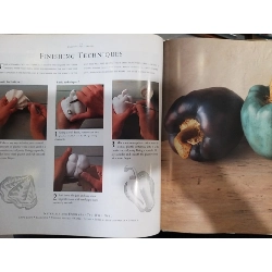 Creative plasterwork - Stephanie Harvey 708586