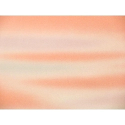 Vải phản vật dài - Hàng hiệu Authentic 877499