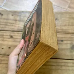 The German Dictatorship - Karl Dietrich Bracher 728998