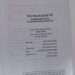 TỘI PHẠM KINH TẾ THỜI MỞ CỬA  506638