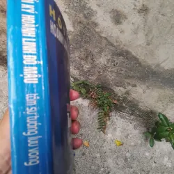 Tâm sự tướng lưu vong - hồi ký Hoành Linh Đỗ Mậu  1019162