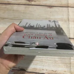 Bất Hạnh Là Một Tài Sản: Một Mình Ở Châu Âu - Phan Việt 785986