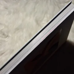 Lindsey Taylor - Art in Flower: A Creative Visit with 75 Flowers 957119